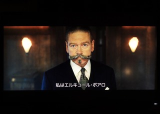 31237B92-D39C-495D-88E7-7B4B98CFABFF_1_201_a.jpeg