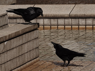AA094286-7E51-489E-A95C-352B7FF611A7_1_201_a.jpeg