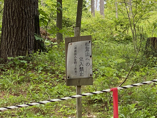 B7032FA4-CE58-4A4F-BAA2-4FBE9CE1475C.jpeg