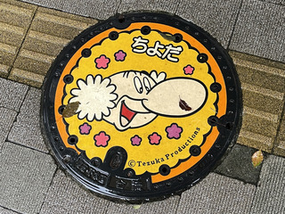 D8A1C64B-D478-4E1C-8F12-6860C741B896_1_201_a.jpeg