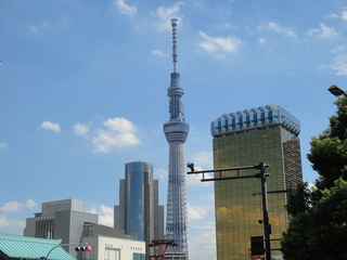 DSC01685 (1).JPG