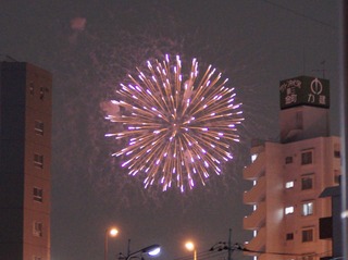DSC01781.jpg