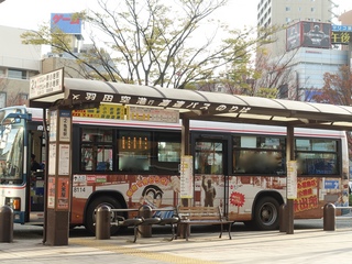 DSC02173.jpg