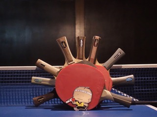 DSC02286.jpg