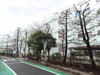 DSC02704.JPG