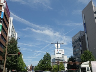 DSC03156.jpg