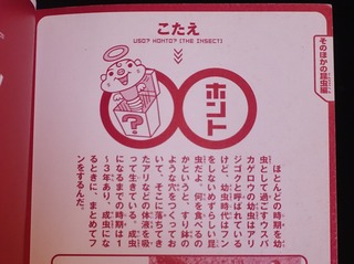 DSC05246.jpg
