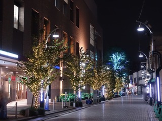 DSC05553.jpg