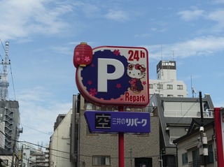 DSC06236.jpg