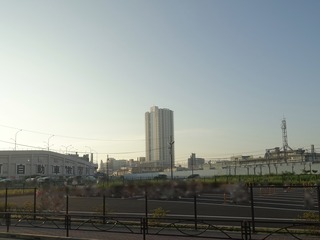 DSC07407.jpg