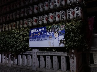 DSC08043.jpg