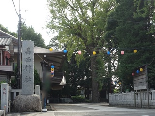 DSC08305.jpg