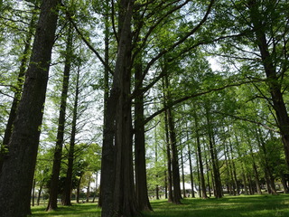 DSC08462.JPG