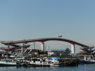 DSC08735.jpg