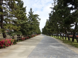 DSC08765.jpg
