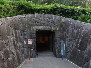 DSC08890.JPG