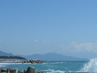 DSC09995.jpg
