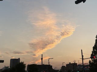 IMG_1974.jpeg