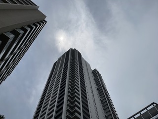 IMG_2791.jpeg