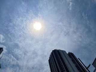 IMG_3543.jpeg