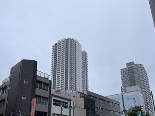 IMG_3704.jpeg