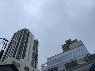 IMG_3805.jpeg