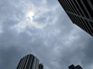 IMG_4269.jpeg