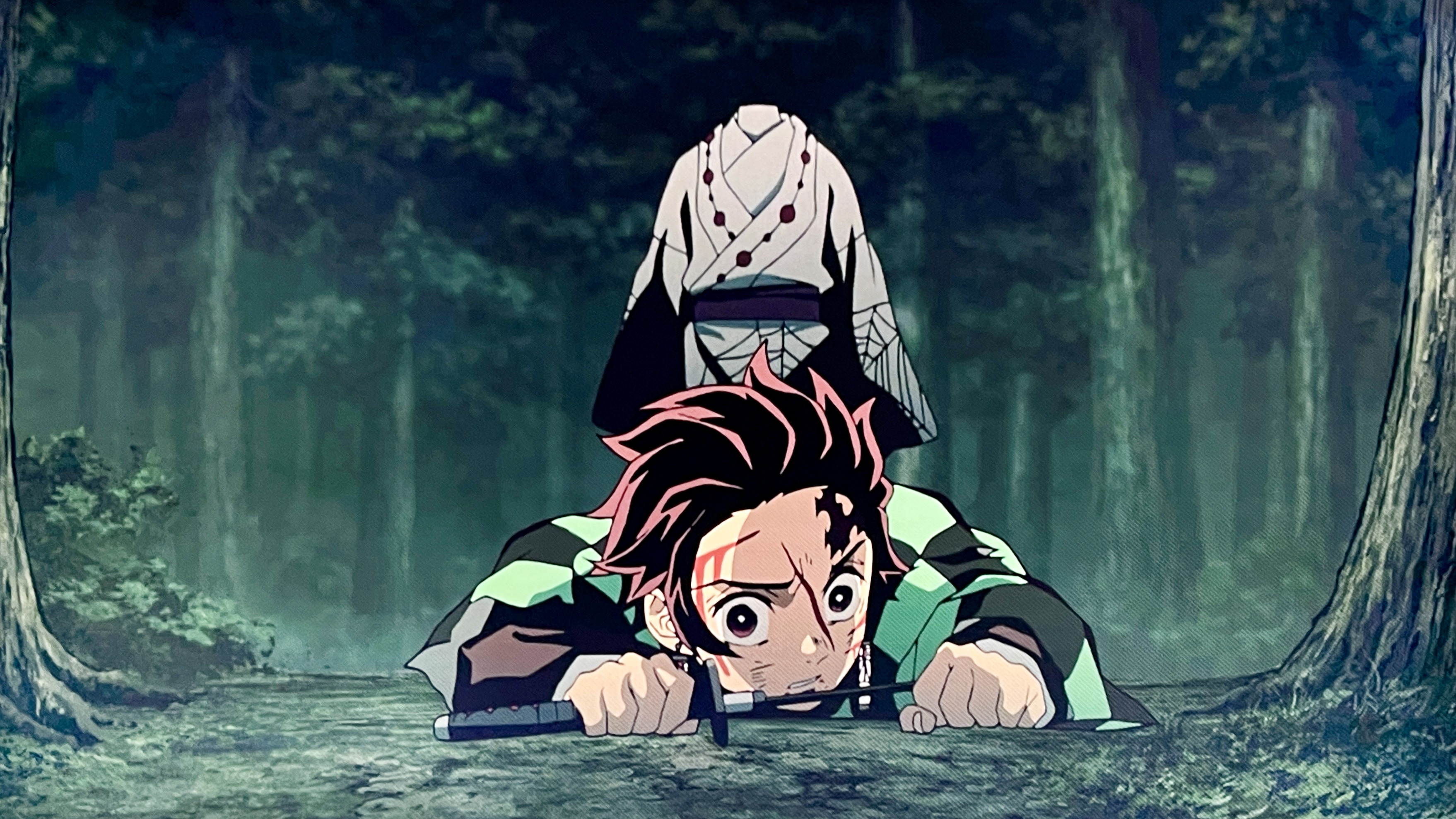 アニメ鑑賞記：鬼滅の刃(竈門炭治郎 立志編：第20話)寄せ集めの家族