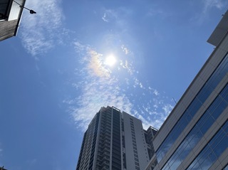 IMG_6355.jpeg