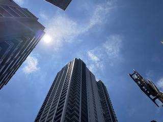 IMG_6613.jpeg