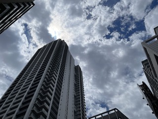 IMG_7156.jpeg