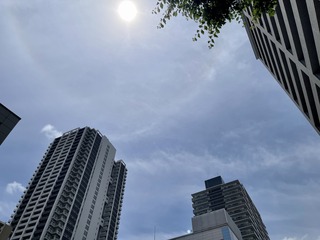 IMG_7534.jpeg