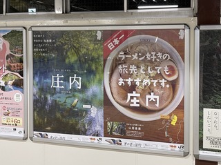 IMG_8086.jpeg
