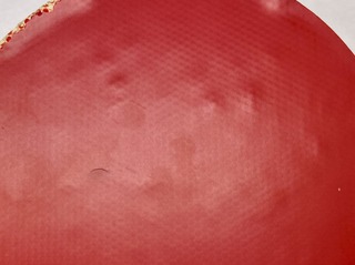 IMG_9309.jpeg
