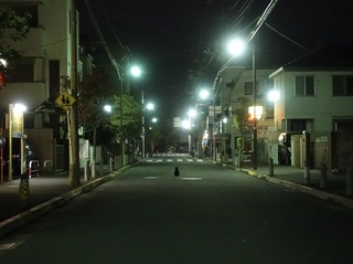 fullsizeoutput_14165.jpeg