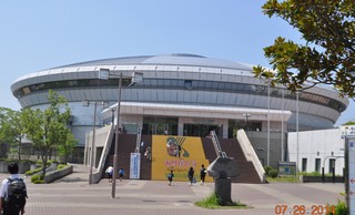 DSC_S{O[h[.jpg